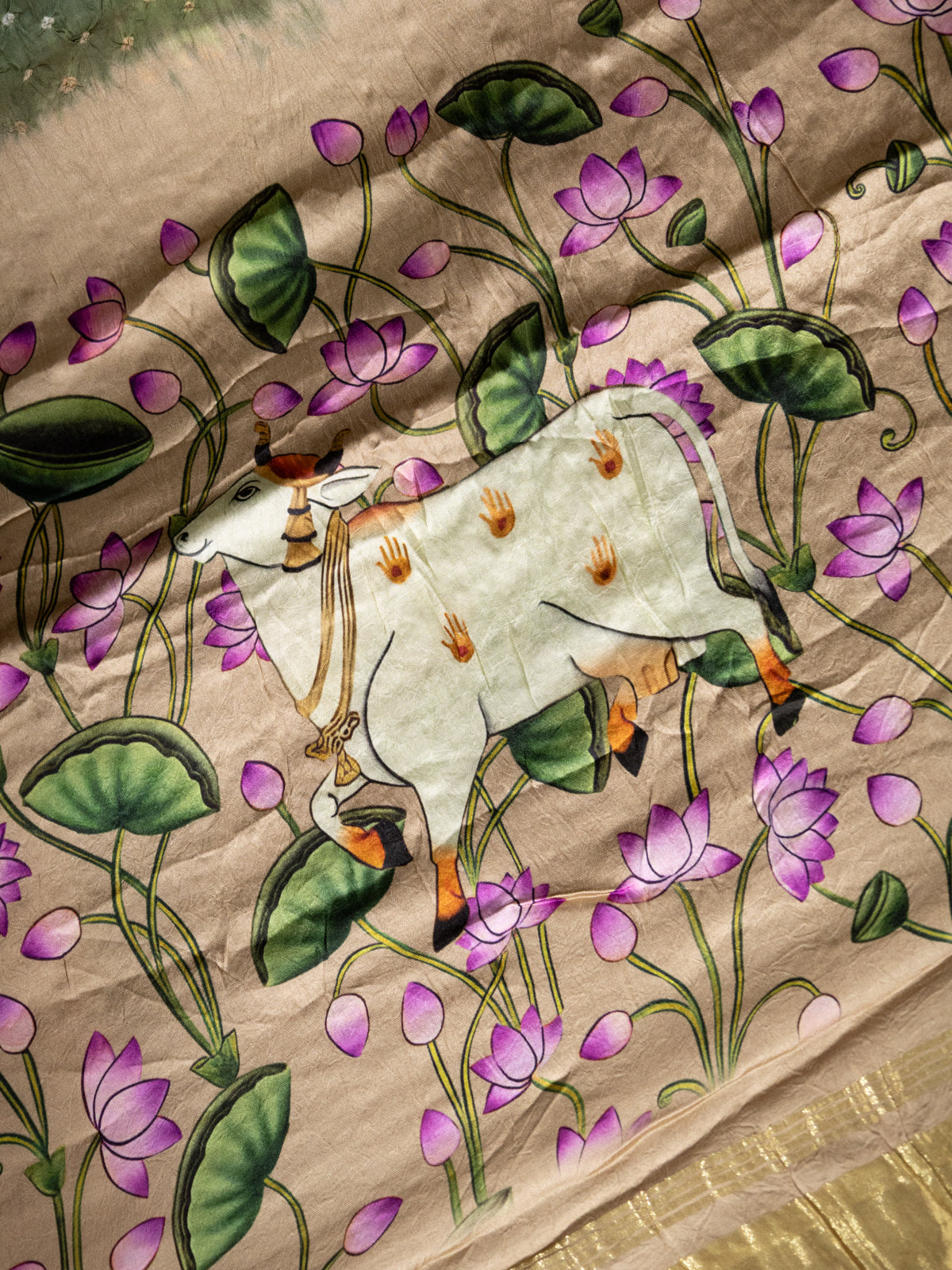 Pastel Green & Beige Modal Silk Saree With Bandhej