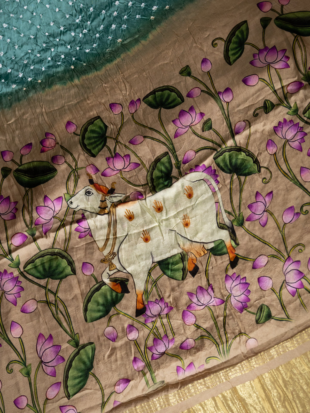 Teal Green & Beige Modal Silk Saree With Bandhej