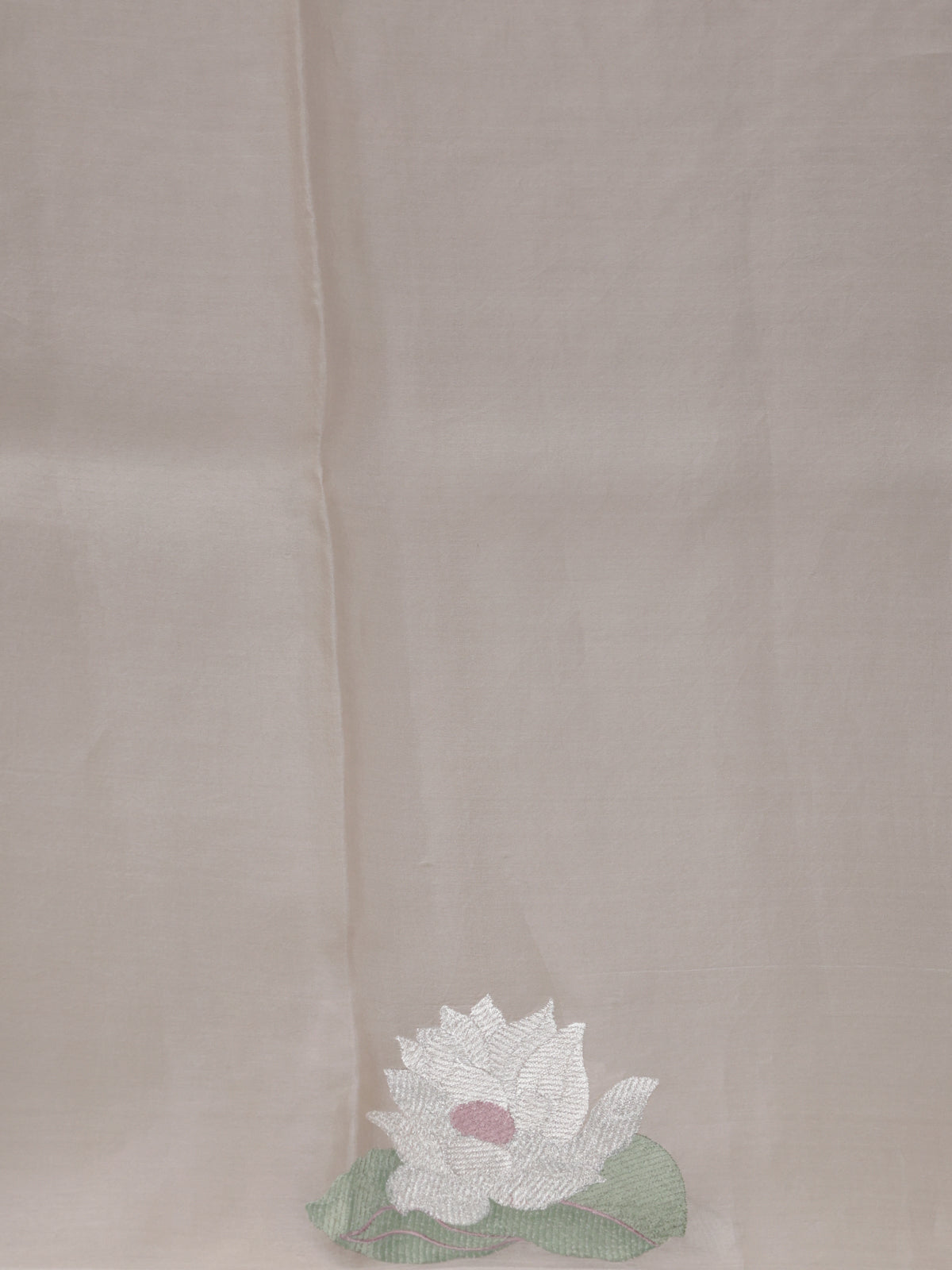 Beige Pure Banarasi Tissue Organza Saree With Border Floral Embroided Butta