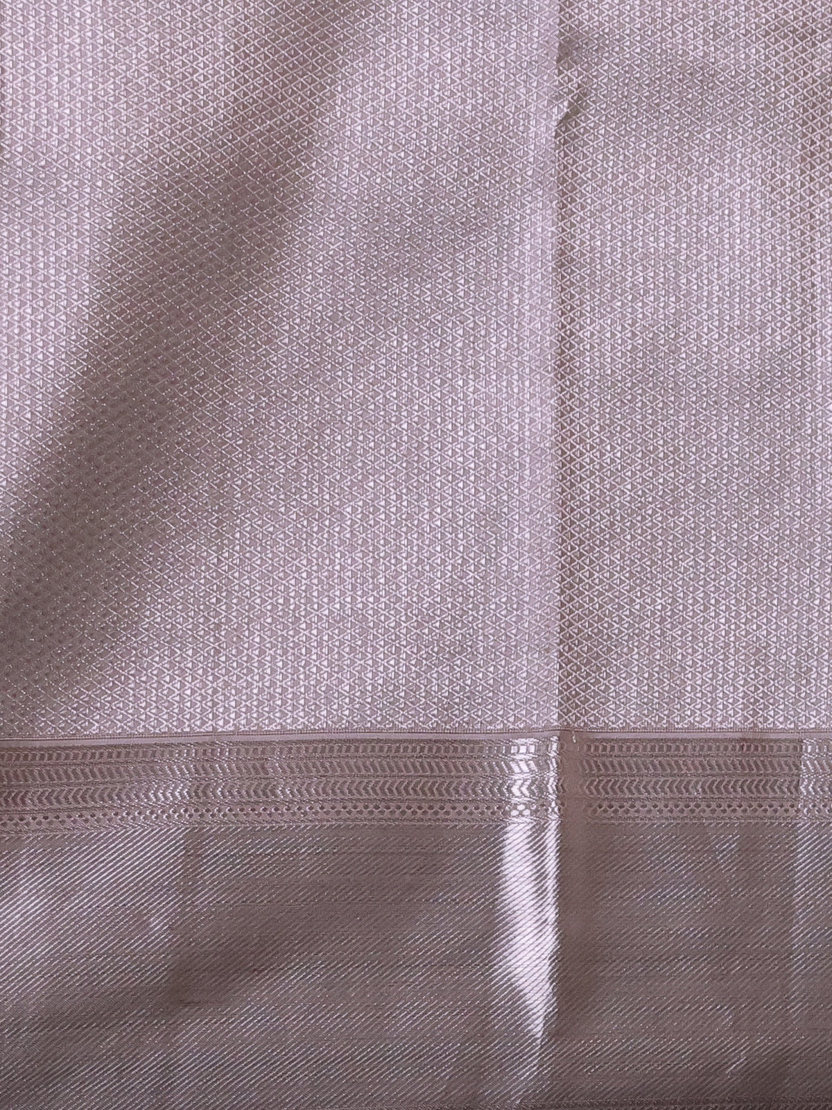 Tissue Kanchipuram Silk Saree With Allover Embroidery And Silver Zari