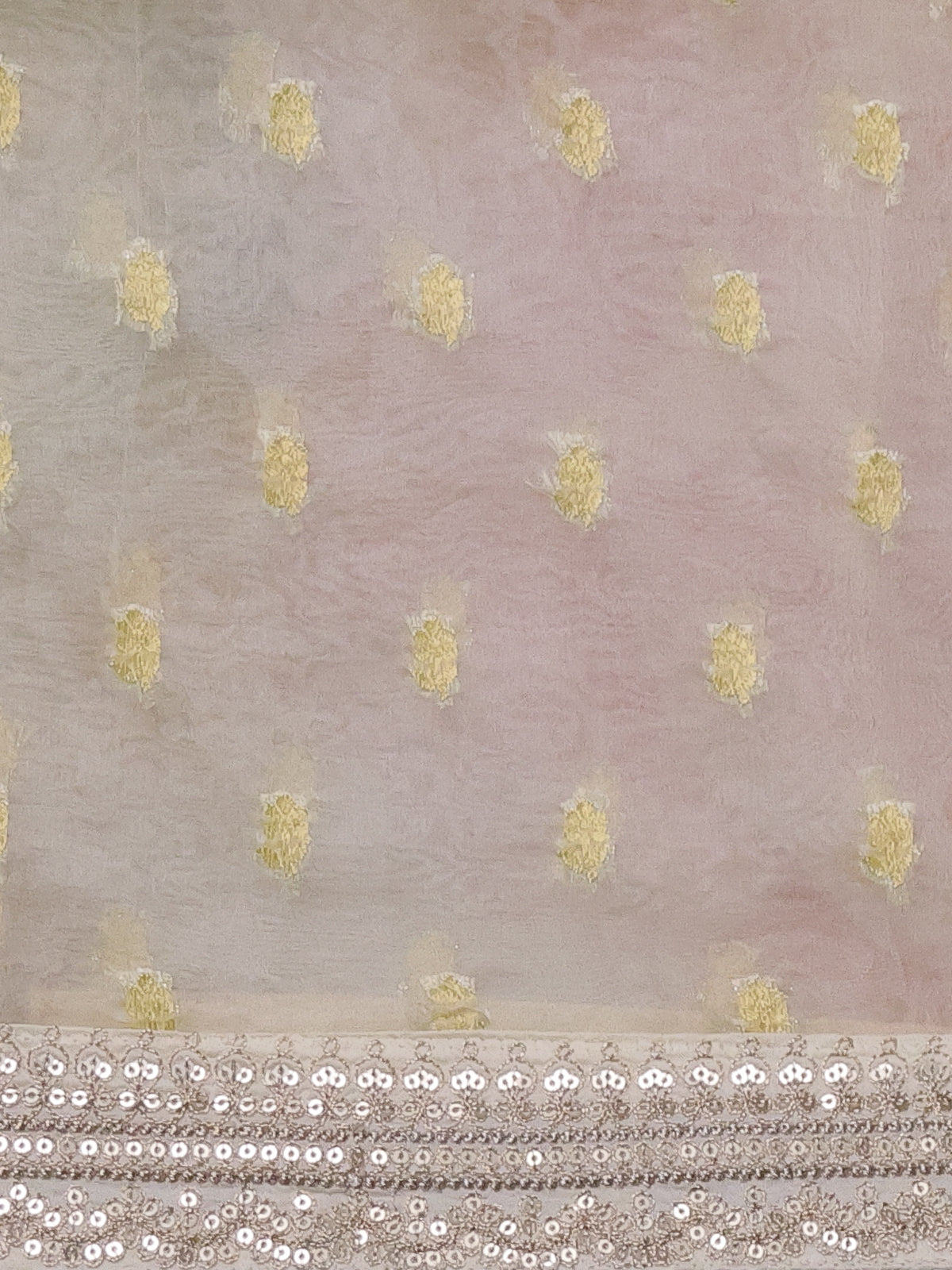 Cream Organza With Zari Weave Embroidery Patch Border