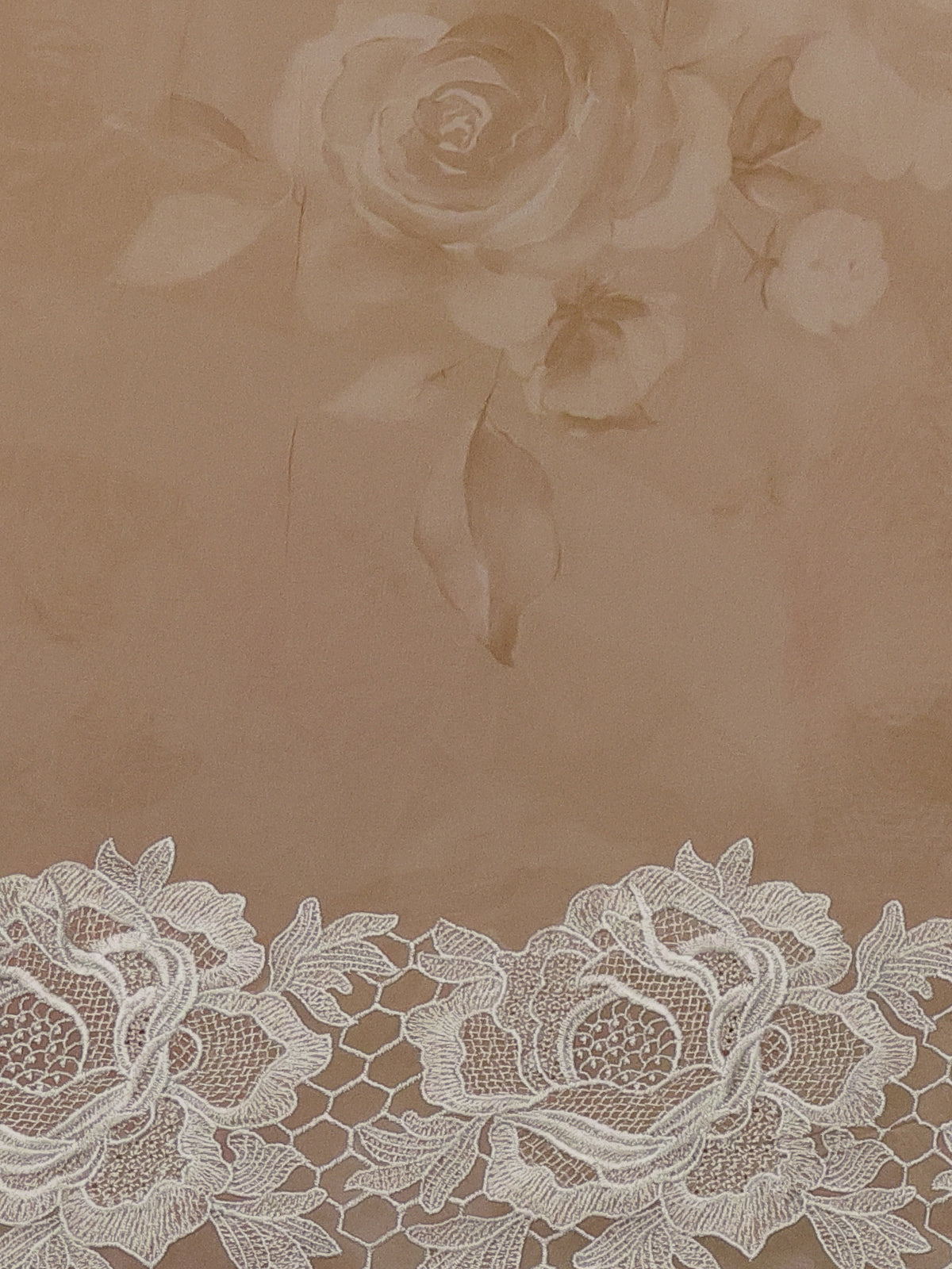Beige Georgette Saree With Scalap And Lace Type Embroidery