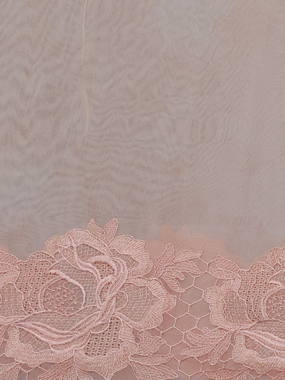 Peach Georgette Saree With Scalap And Lace Type Embroidery