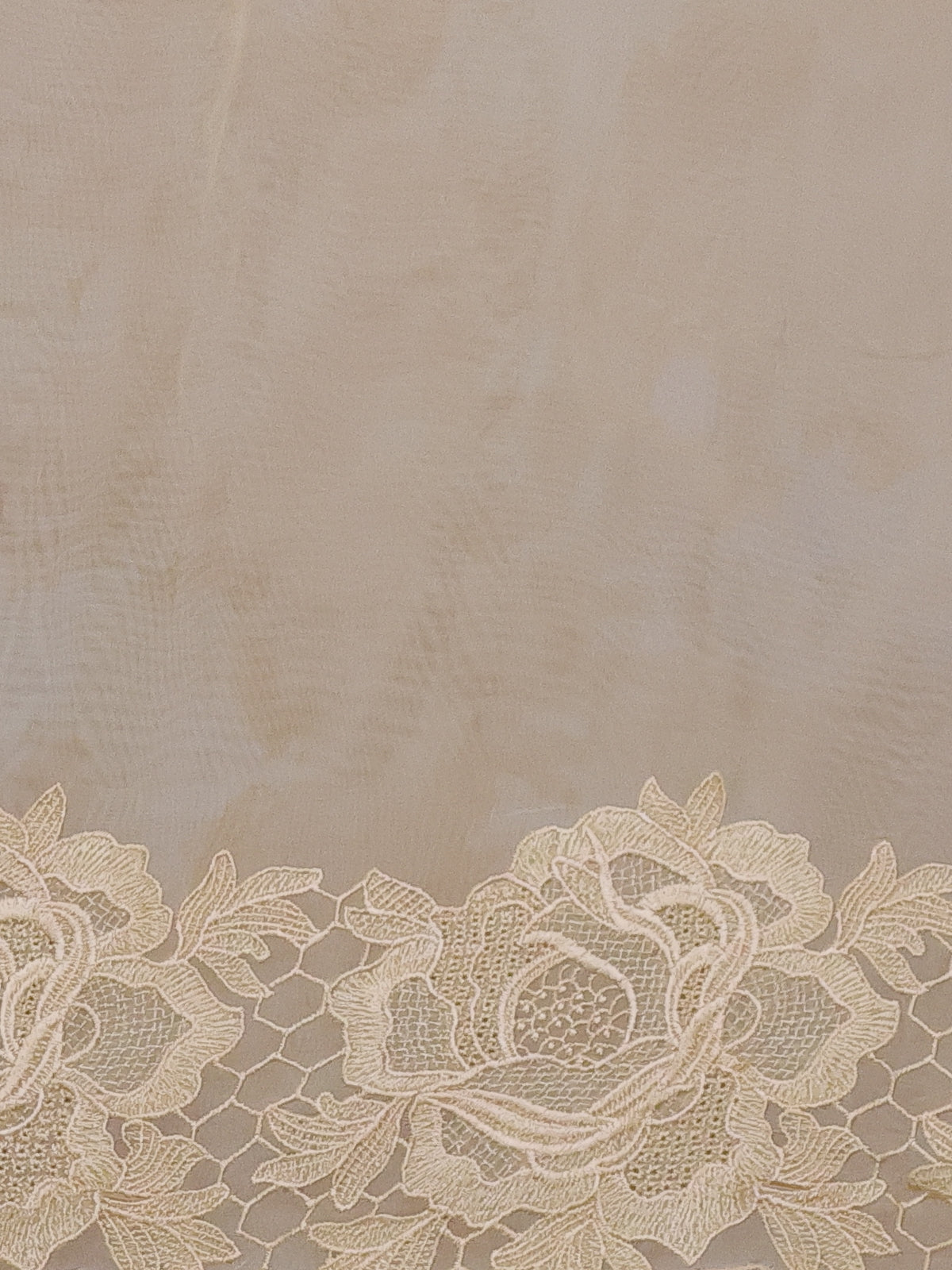 Pale Yellow Georgette Saree With Scalap And Lace Type Embroidery