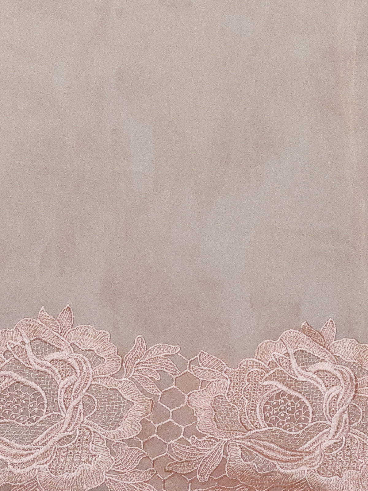 Pale Orange Georgette Saree With Scalap And Lace Type Embroidery