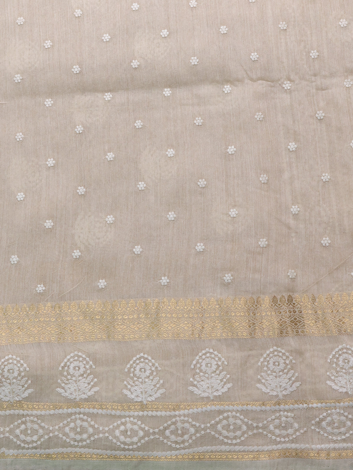 Pastel Green-Beige Handloom Tussar Silk Saree With Embroidery Motifi & Chikankari Work Border