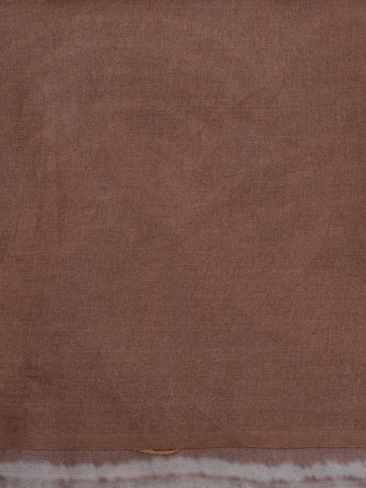 Brown Pure Tussar Silk Saree
