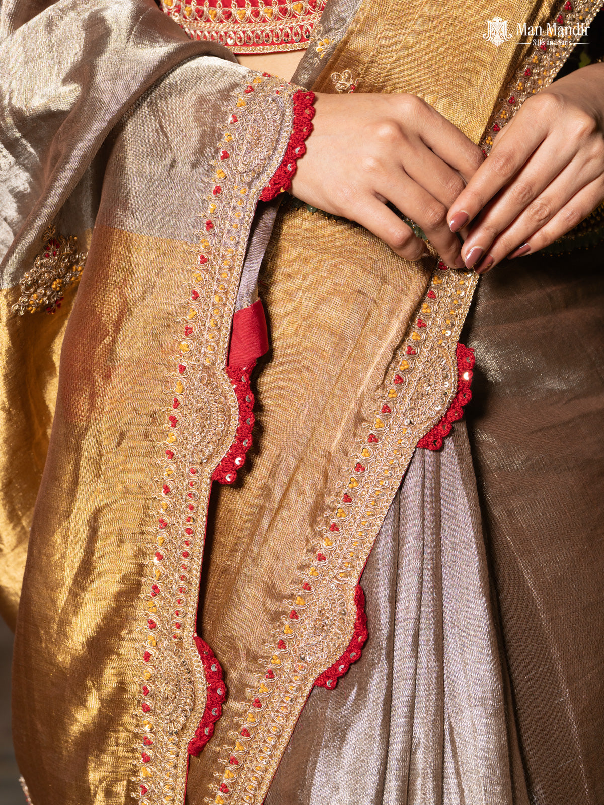 Silver -Gold Tissue Saree With Embroidery Readymade Blouse