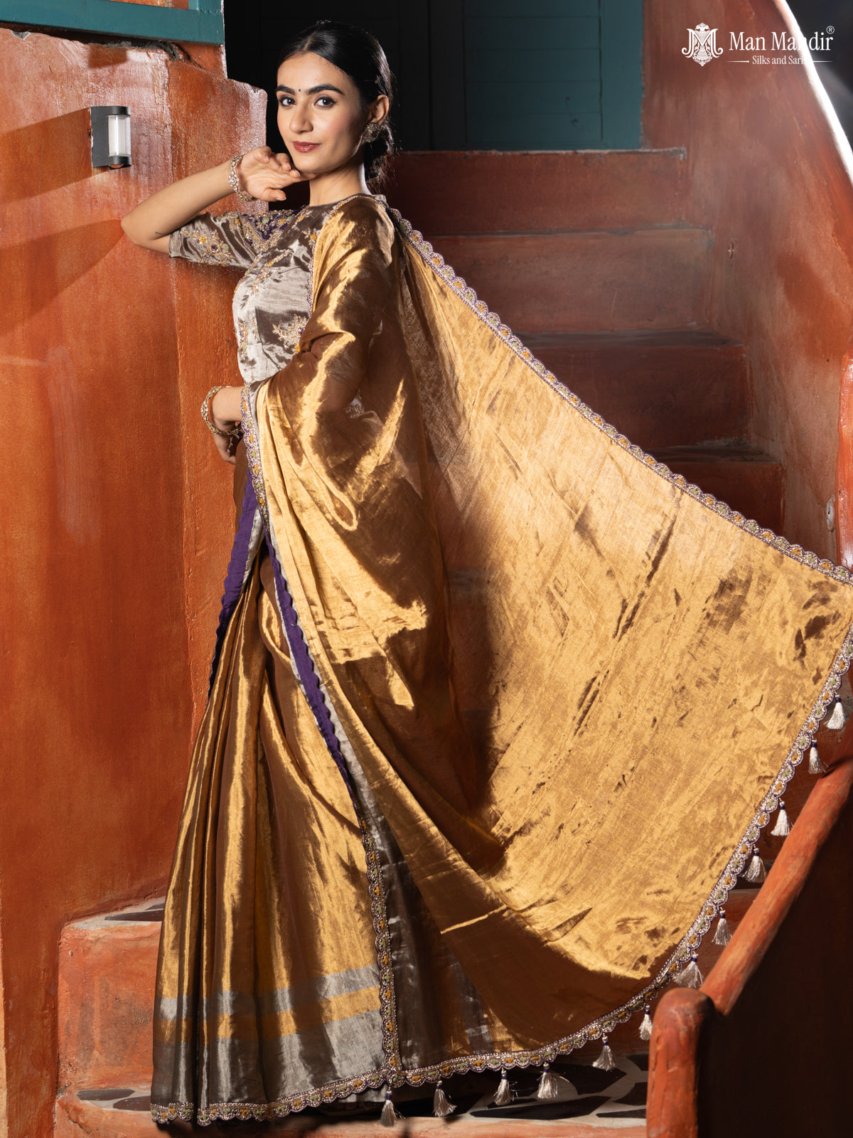 Gold-Silver Tissue Saree With Embroidery Readymade Blouse