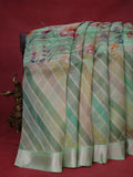 Pastel Green Organza Silk Saree