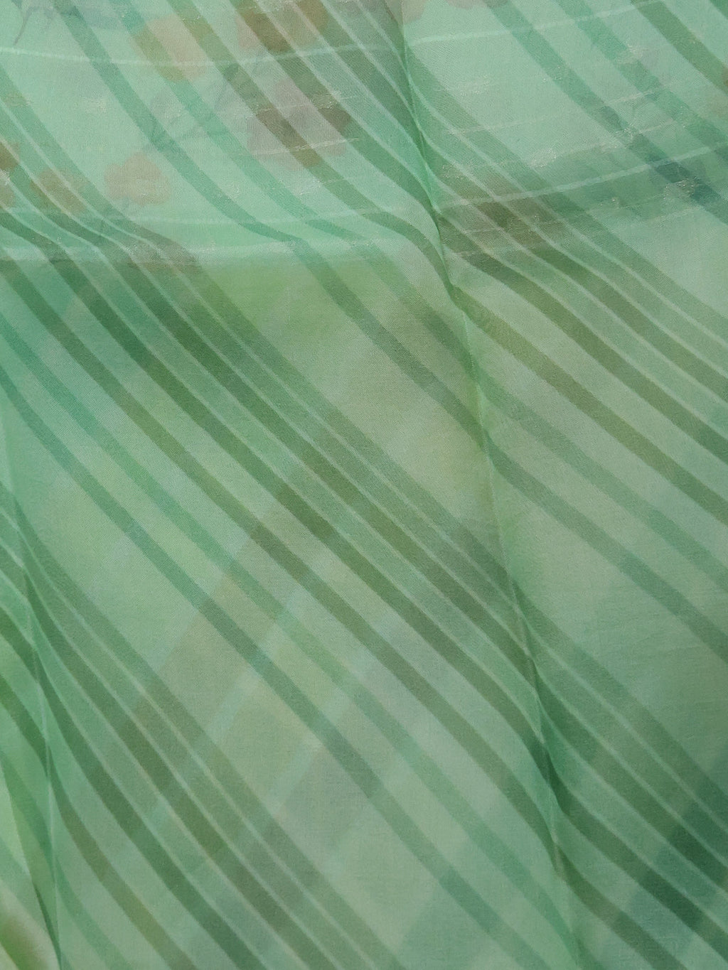 Pastel Green Organza Silk Saree