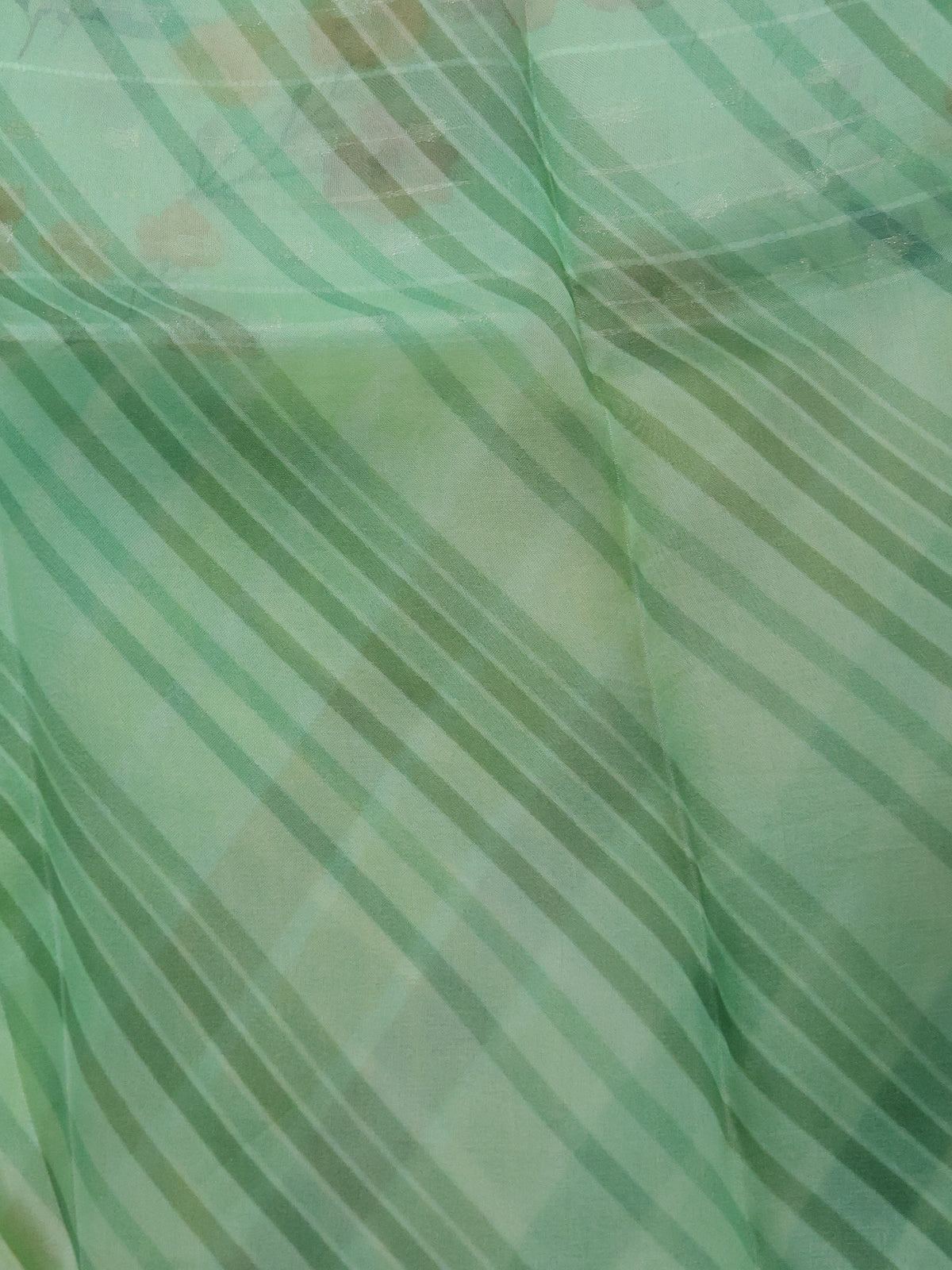 Pastel Green Organza Silk Saree