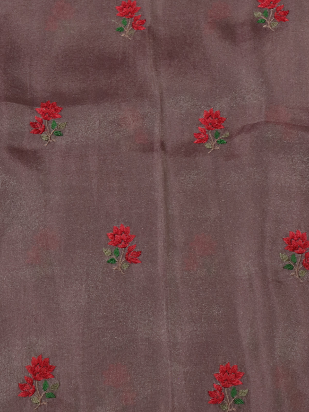 Beige-Maroon Tissue Silk Saree