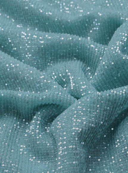 Aqua Blue Netted Organza Half & Half Style Sequin Embroidery Saree