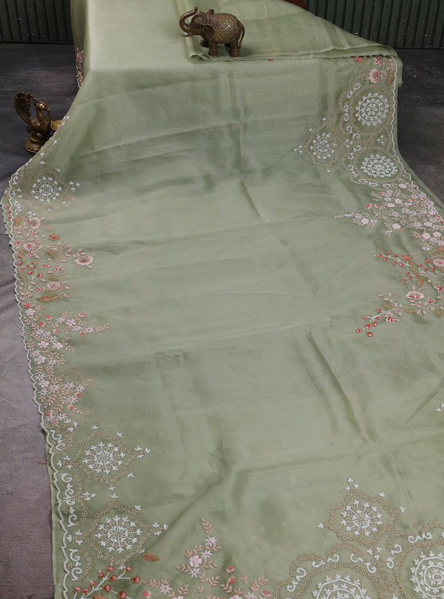 Pastel Green Organza Embroidery Silk Saree