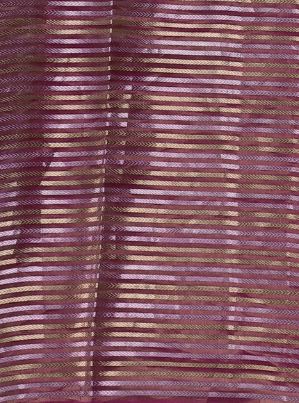 Onion Pink - Magenta Pink Organza Tissue With Patan Patola Border & Pallu