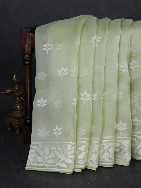 Pista Green Organza Saree